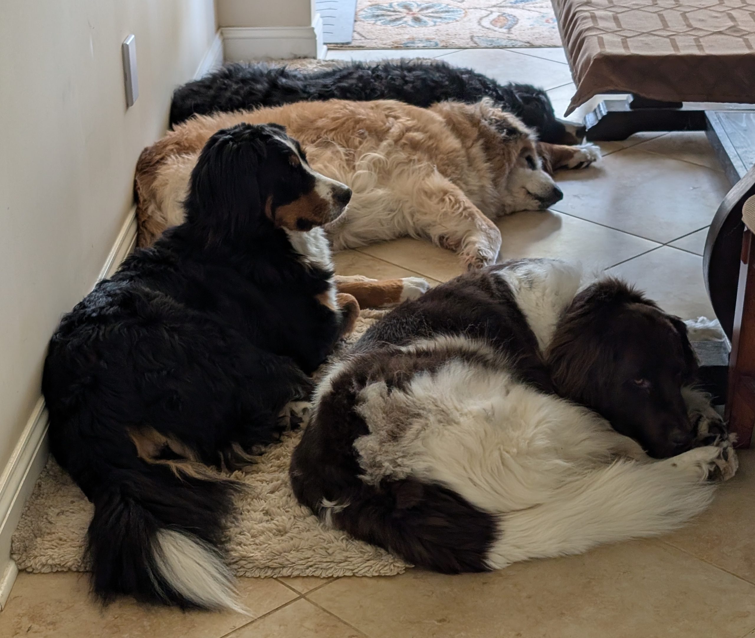 PXL_20250427_160056096